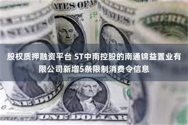 股权质押融资平台 ST中南控股的南通锦益置业有限公司新增5条限制消费令信息