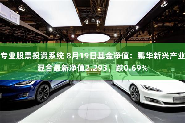 专业股票投资系统 8月19日基金净值：鹏华新兴产业混合最新净值2.293，跌0.69%