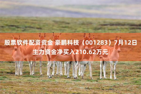 股票软件配资资金 豪鹏科技（001283）7月12日主力资金净买入210.62万元