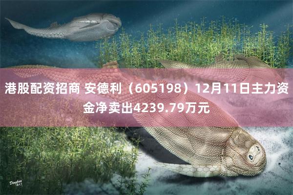 港股配资招商 安德利（605198）12月11日主力资金净卖出4239.79万元