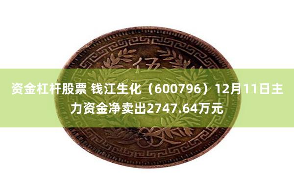 资金杠杆股票 钱江生化（600796）12月11日主力资金净卖出2747.64万元