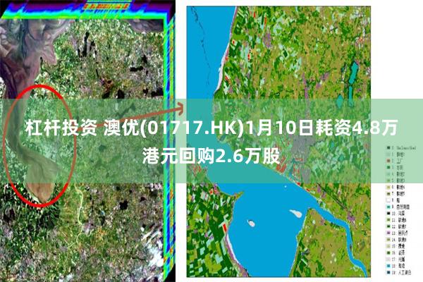 杠杆投资 澳优(01717.HK)1月10日耗资4.8万港元回购2.6万股