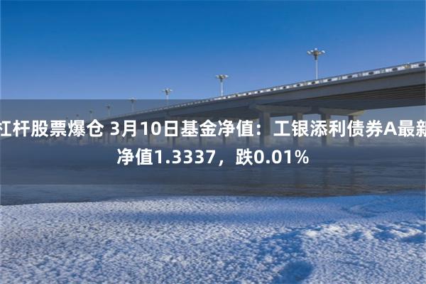 杠杆股票爆仓 3月10日基金净值：工银添利债券A最新净值1.3337，跌0.01%