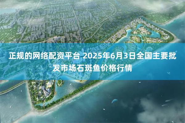 正规的网络配资平台 2025年6月3日全国主要批发市场石斑鱼价格行情