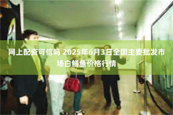网上配资可信吗 2025年6月3日全国主要批发市场白鳝鱼价格行情